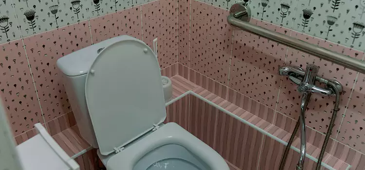 Meeting Diverse Needs With Accessible Restroom Solutions in Cote-Saint-Luc, QC