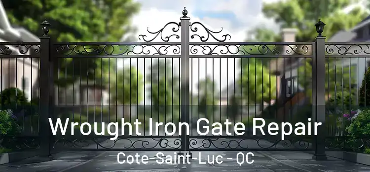  Wrought Iron Gate Repair Cote-Saint-Luc - QC